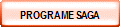 PROGRAME SAGA